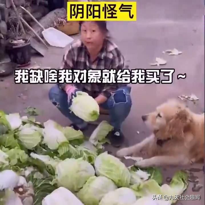 盘点东北大妈催婚现场的视频,东北大妈催婚能有多离谱