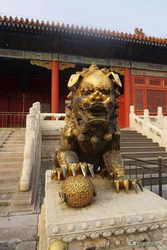 故宫成了动物园,故宫北京动物园