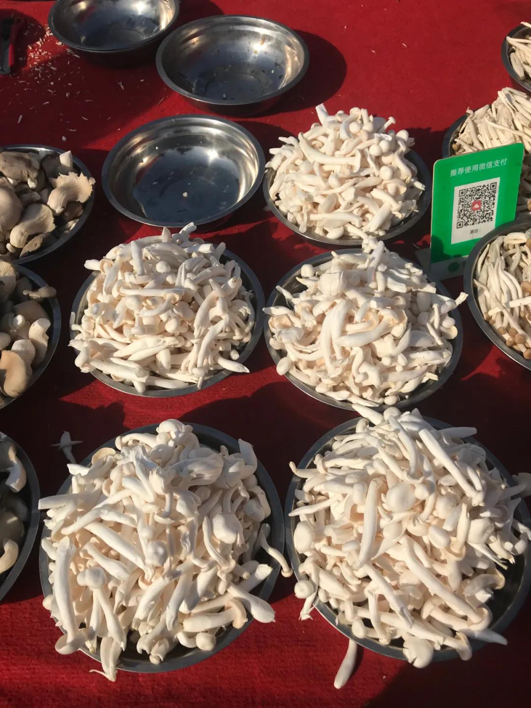 周边最便宜的大集在哪里,10元一两的大集