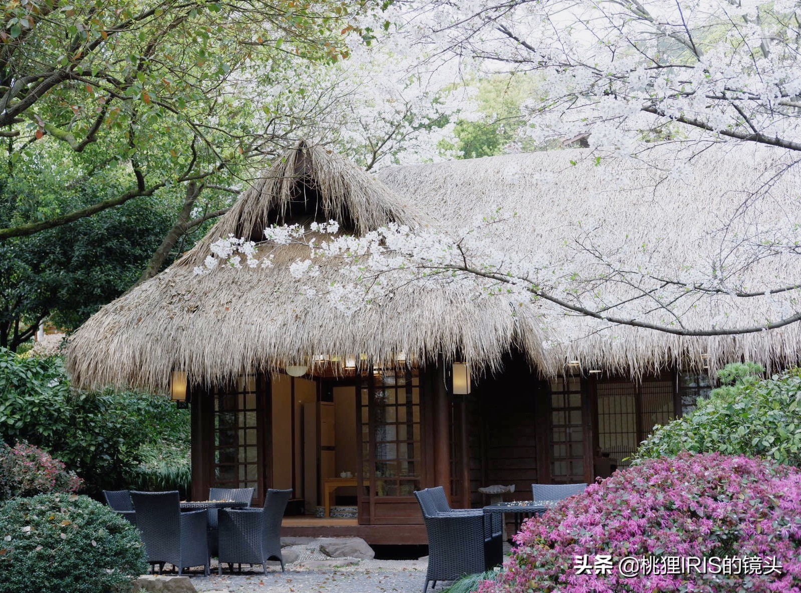 杭州小济州岛春游野营度假,良渚小奈良一日游