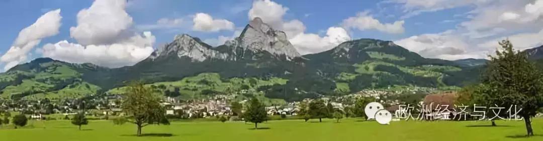 瑞士木工一个月收入多少钱,在新西兰做木工复杂吗