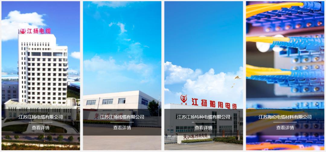 改善经营，再创辉煌|江扬集团数字阿米巴项目正式启动