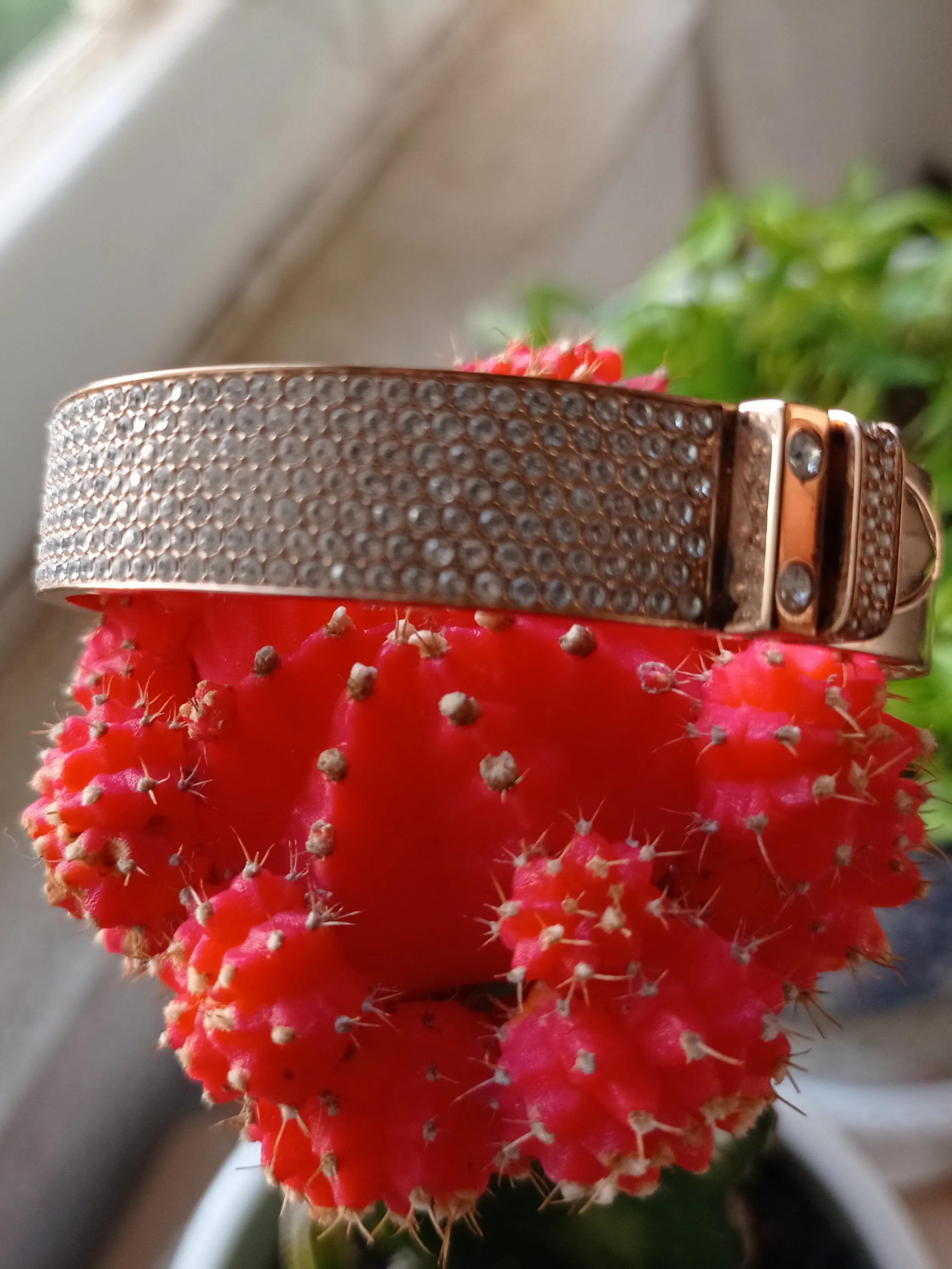 施华洛世奇法国,巴黎老佛爷买口红