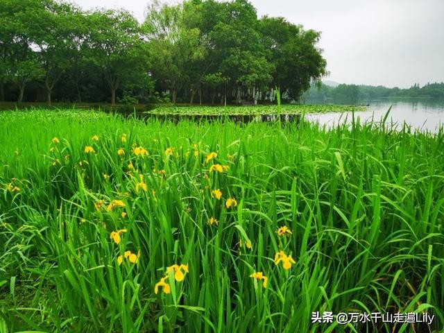 杭州不为人知的世外桃源,杭州幽静的去处