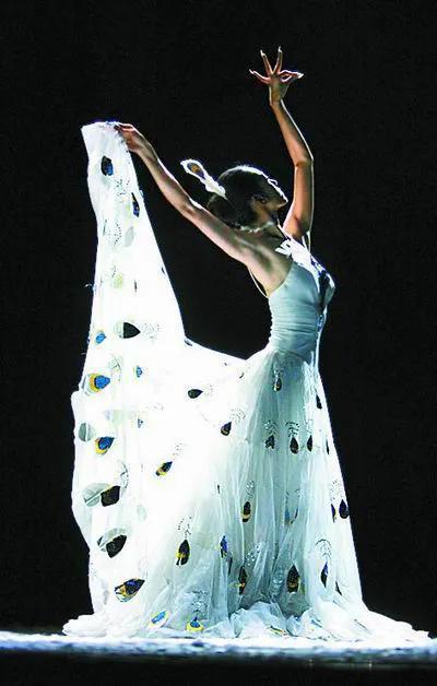 杨丽萍被曝晚年生活,杨丽萍晚年生活