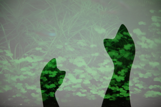 灏煎悍澶氶噸鏇濆厜鏁欑▼,浣宠兘澶氶噸鏇濆厜鏁欑▼