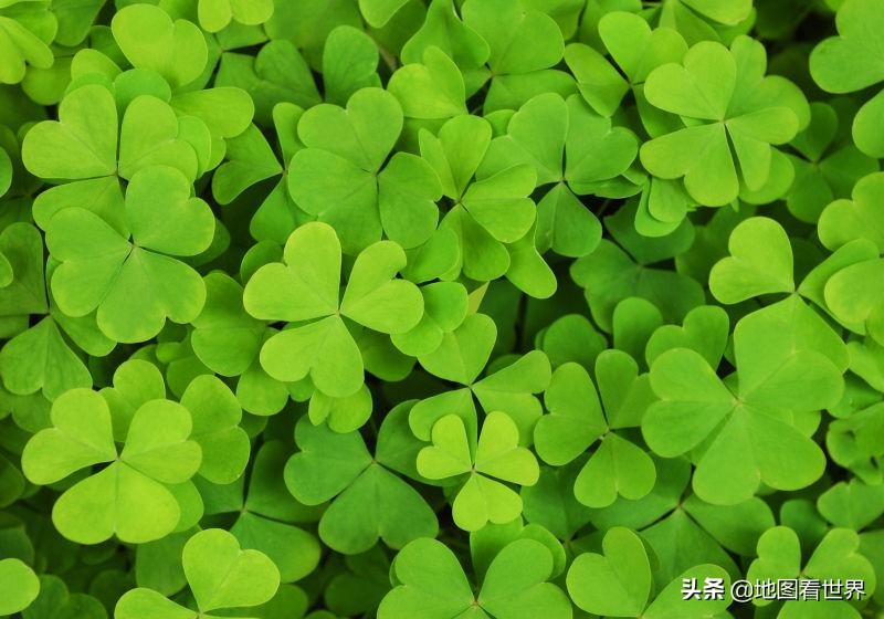 钀т集绾崇殑鍥藉,钀т集绾崇埍灏斿叞