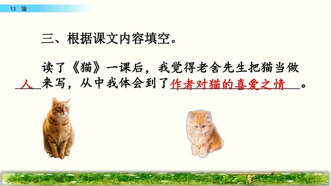 四年级下册语文13课猫课文解析,部编版四年级下册13猫教学视频