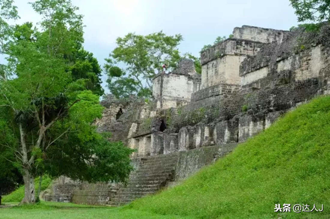 小天绝地求生,小天蜘蛛