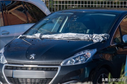 哭笑不得：一只名为“乔治”的乌鸦，酷爱破坏汽车雨刮器