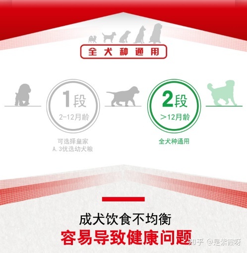 到底买什么牌子的国产狗粮最好,狗粮哪个好国产良心狗粮排名前十