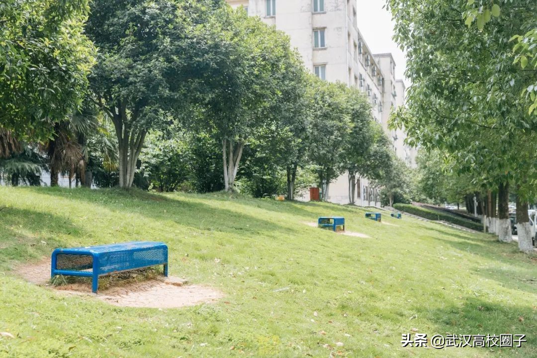 爸妈我想回家视频,爸妈我想回家了原视频