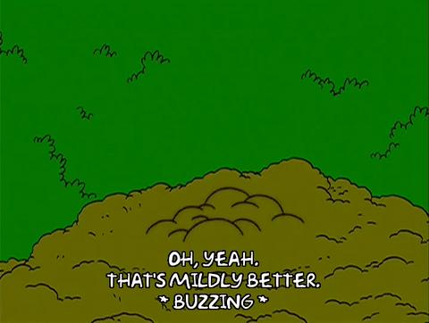 苍蝇爬到吃的食物上会怎样,苍蝇会爬到哪些食物上