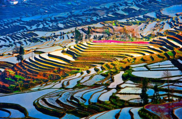 去云南旅游必去的十大景点推荐,云南旅游景点必去十大攻略