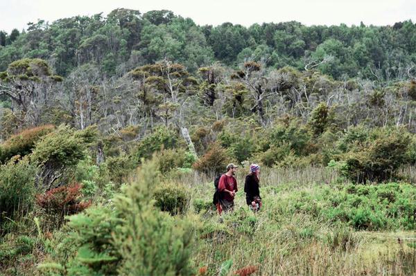 奇洛埃岛所在地,奇洛埃岛风景区