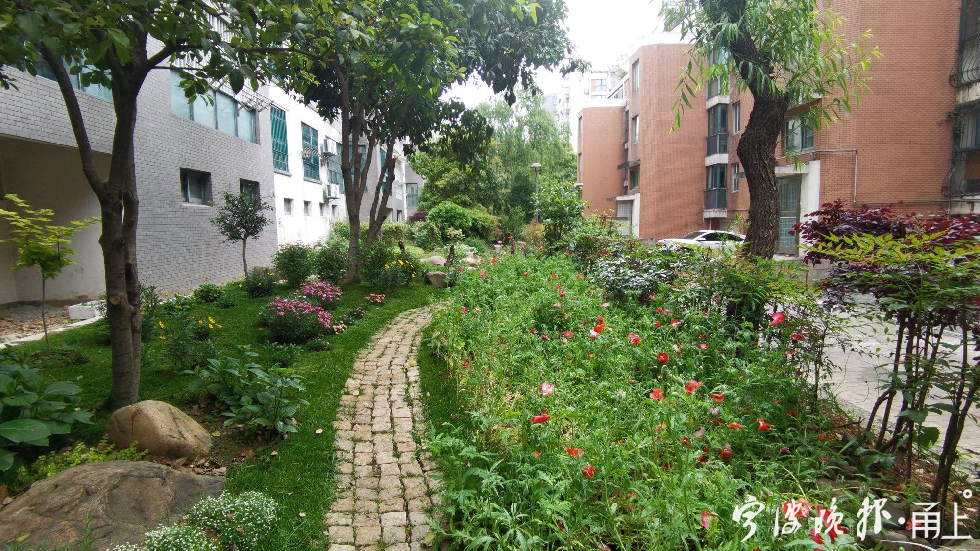 开门见山水的院子,邻里花园宁波