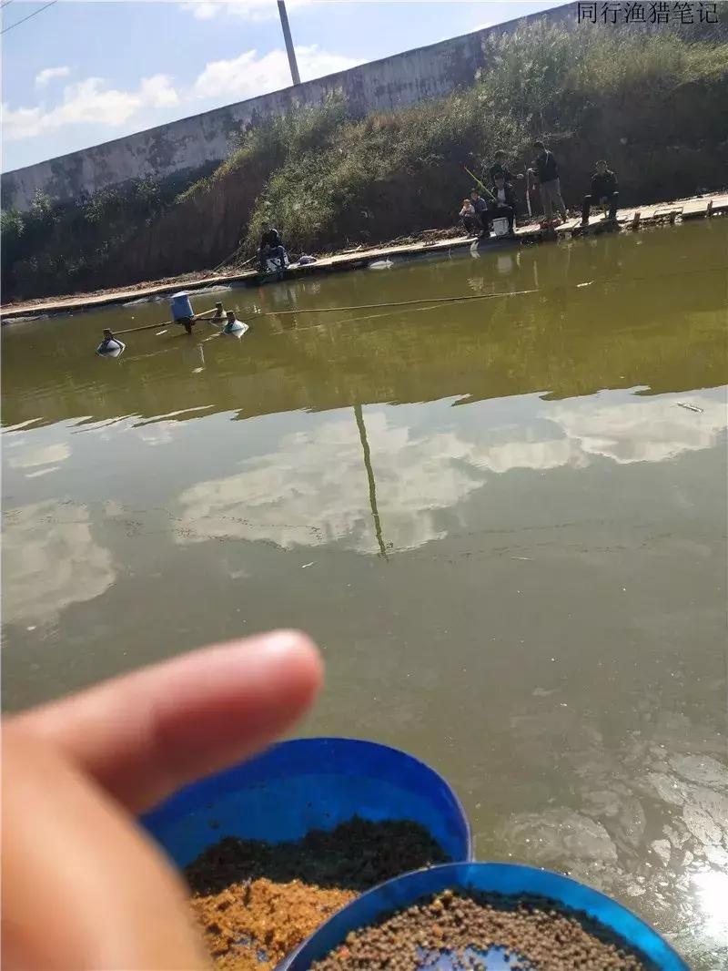 钓鱼笔记30个视频,钓鱼笔记最新视频