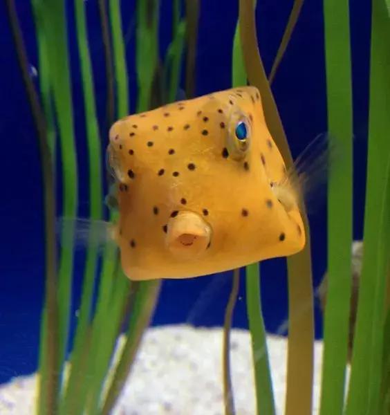 世界上最惊艳的海底照,100张绝美的海底照片