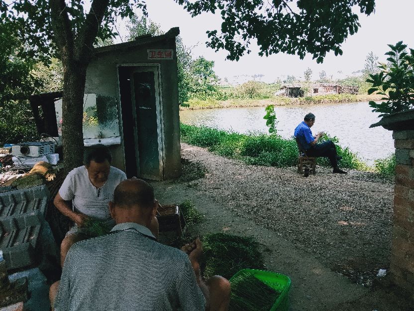 老罗垂钓现场,老罗垂钓园在哪