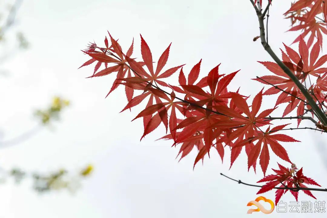 走一起去看美丽的风景,走一起去看美好的风景
