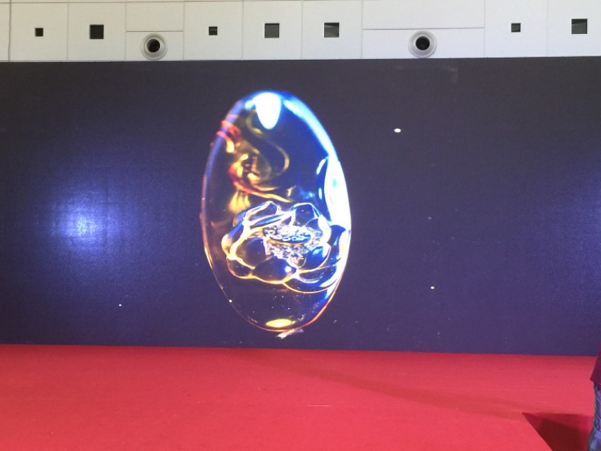 数千万年前琥珀是怎么成形的,琥珀完美封存的古老记忆