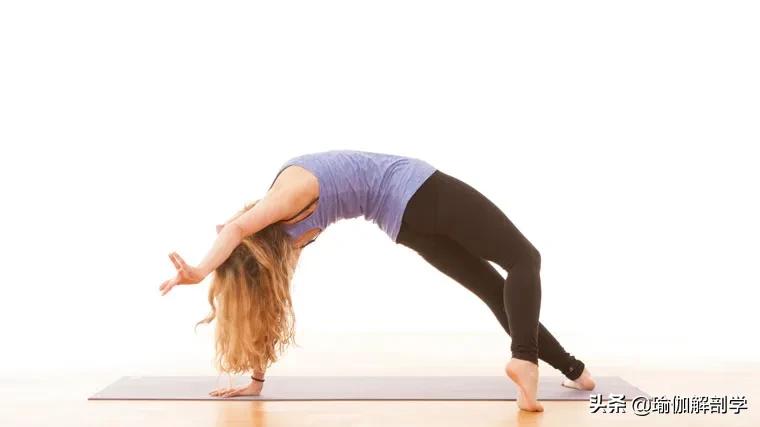 排寒排湿排毒瑜伽,三伏天祛湿瑜伽