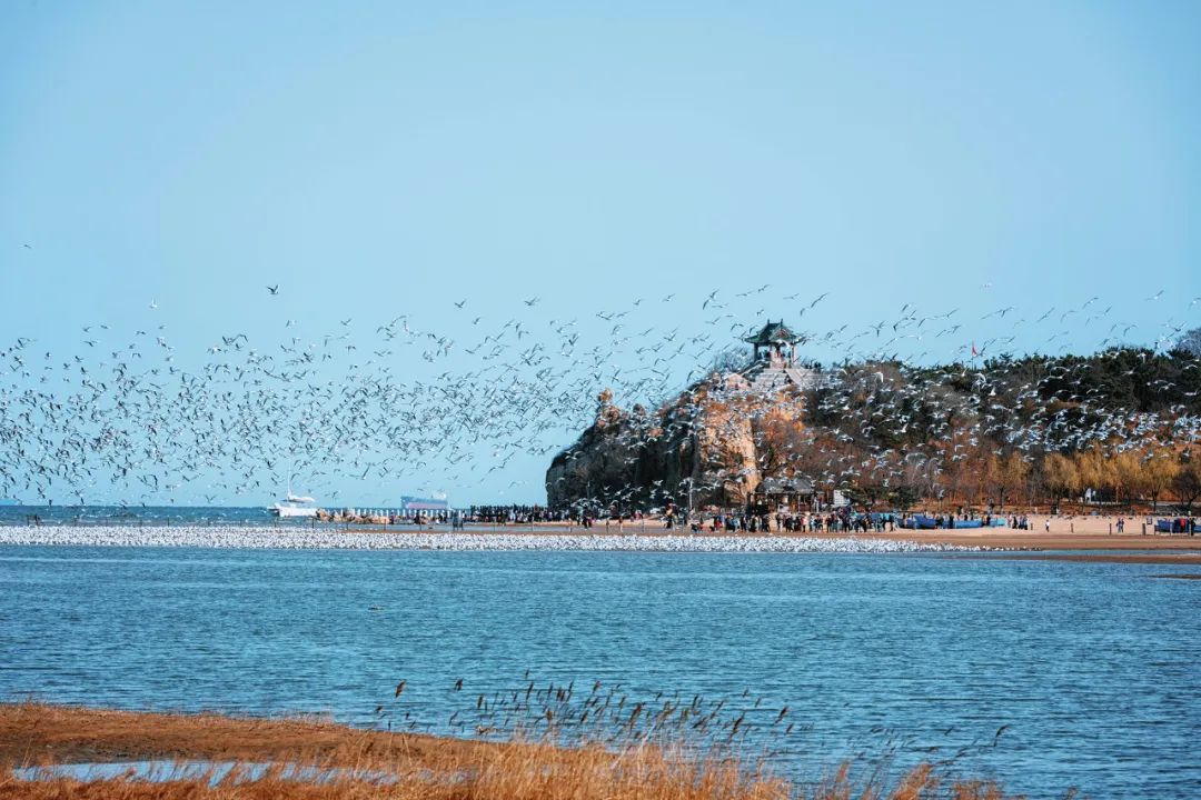 这才是国内最美的地方,这才是中国34省最该去的地方