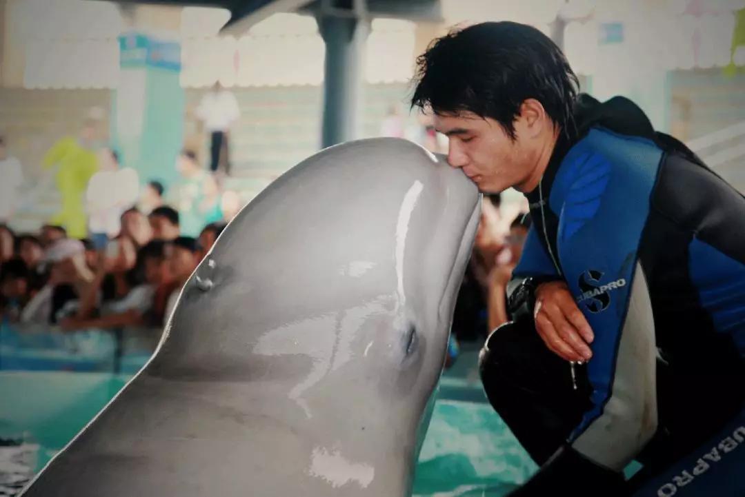 再见老兵网红,深圳老网红