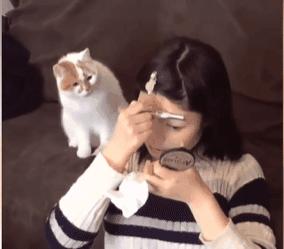 我为什么劝你别学医,在宿舍养猫很后悔