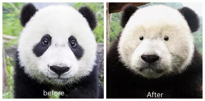 层高不够如何显高,层高不够住如何改造