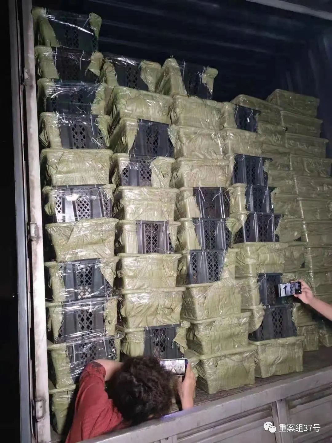 宠物邮寄托运流程,温州哪个快递可以托运宠物