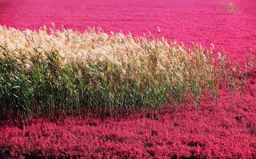 这才是国内最美的地方,这才是中国34省最该去的地方