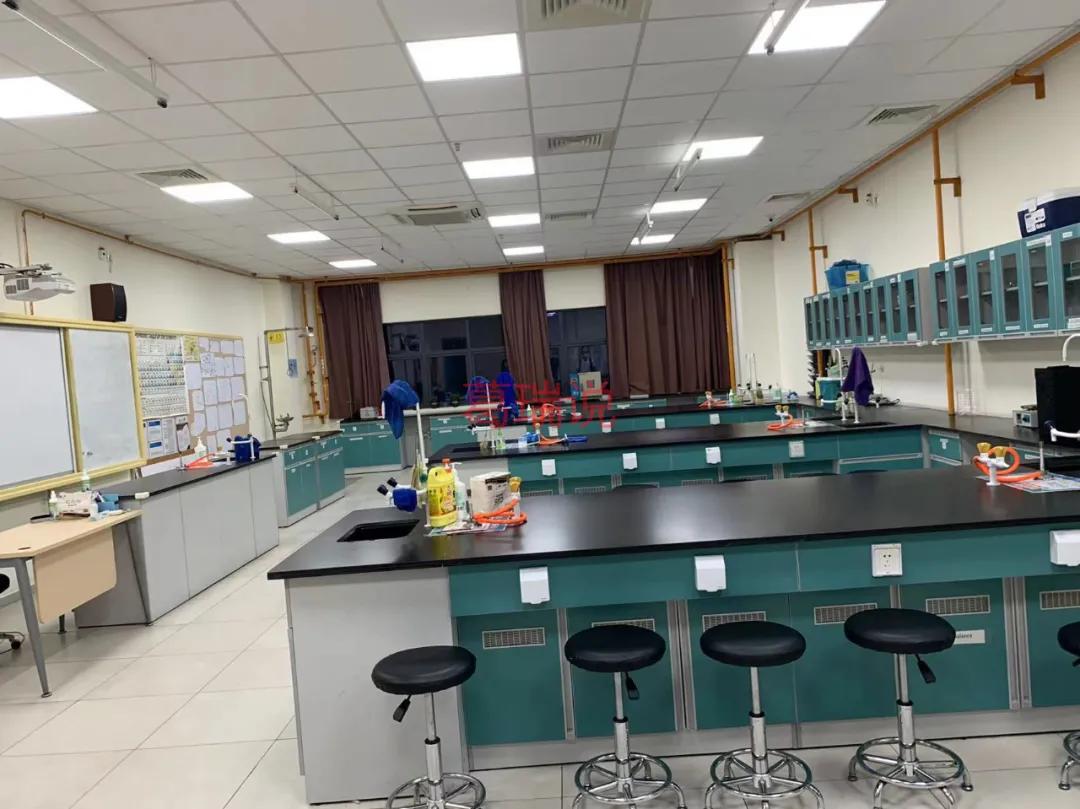 深圳南山国际学校,南山外国语学校的师资力量