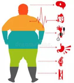 远离肥胖的人珍爱健康,拒绝肥胖保持健康