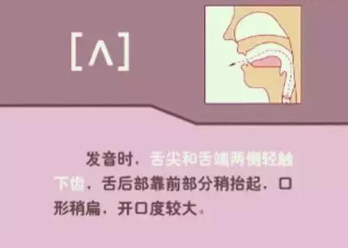 48个英语音标正确读法视频教学,英语48个音标正确发音顺口溜表