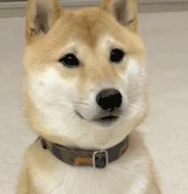 小红书因未成年被罚,小红书因违法被罚