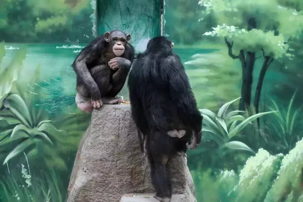 女生为什么要涂那么多东西,唇色深的女生涂口红