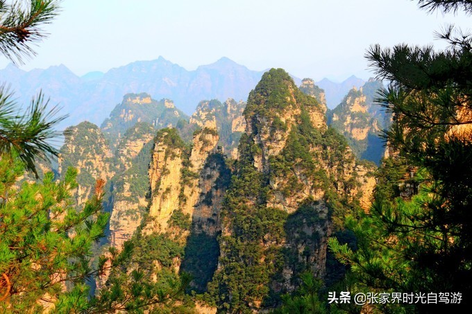 张家界森林公园亲子游攻略,张家界旅游攻略现在张家界气温