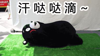 中考足球篮球排球四选一,中考排球篮球足球哪个好考