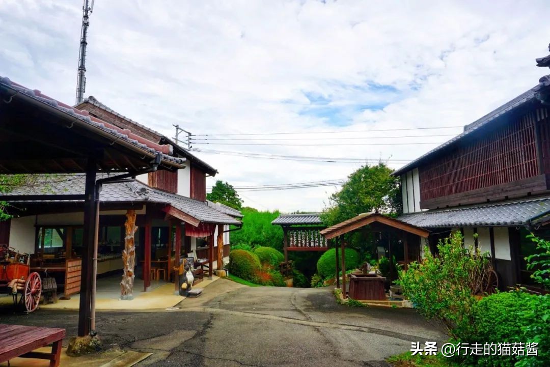 拉面温泉哪里最便宜,日本温泉拉面