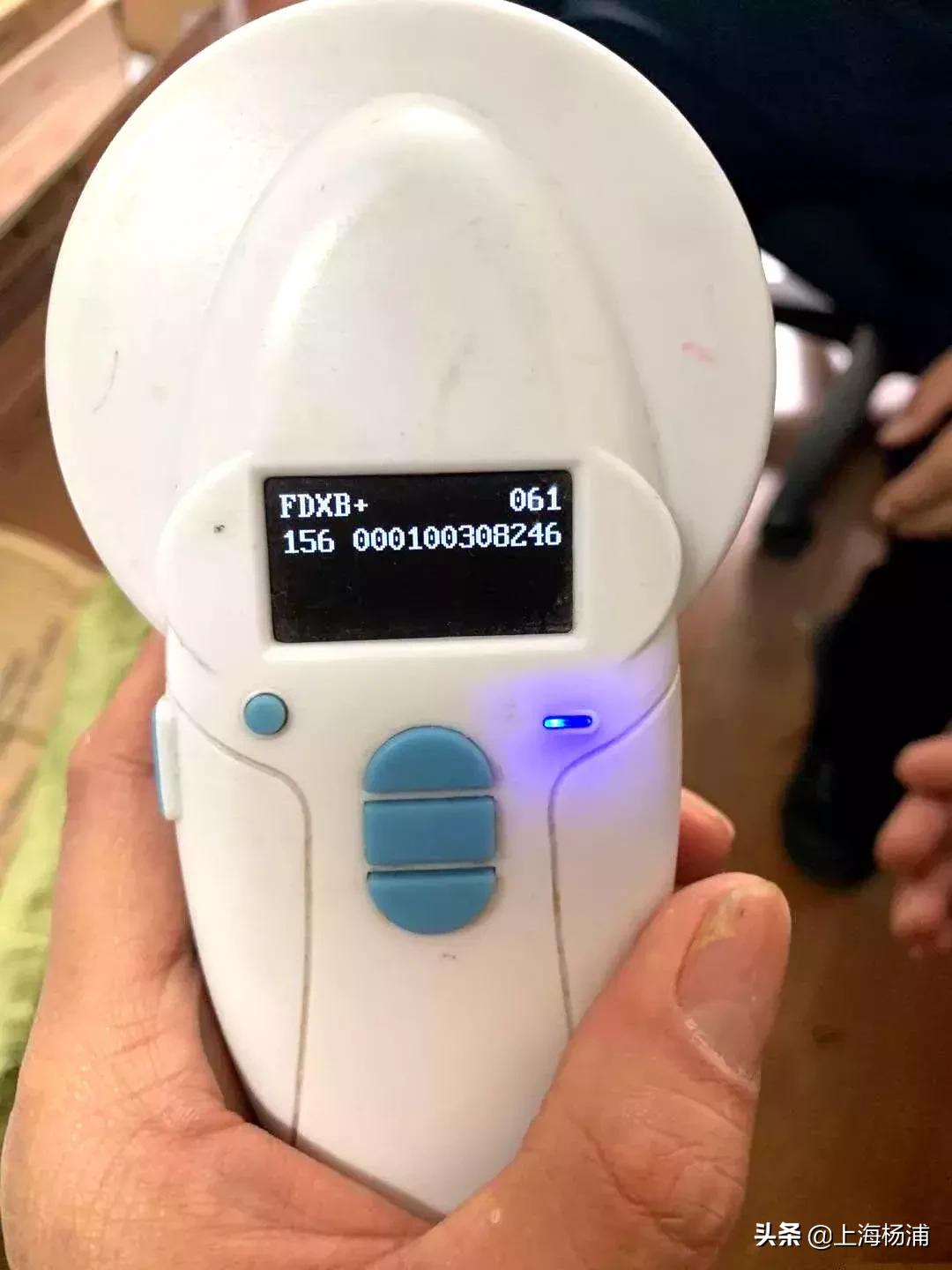 狗狗迷路自己跑进派出所报案,宠物狗狗报警