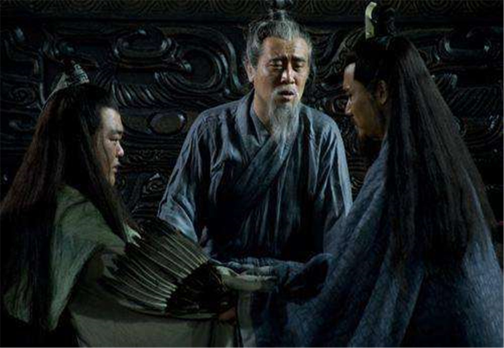 刘禅实力,刘禅的基本知识