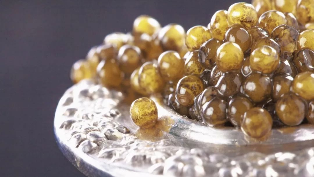 “鲟”味之旅：国风鱼子酱带你尊享健康与美味