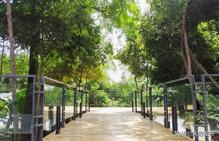 世警会游玩视频,世警会时间安排表