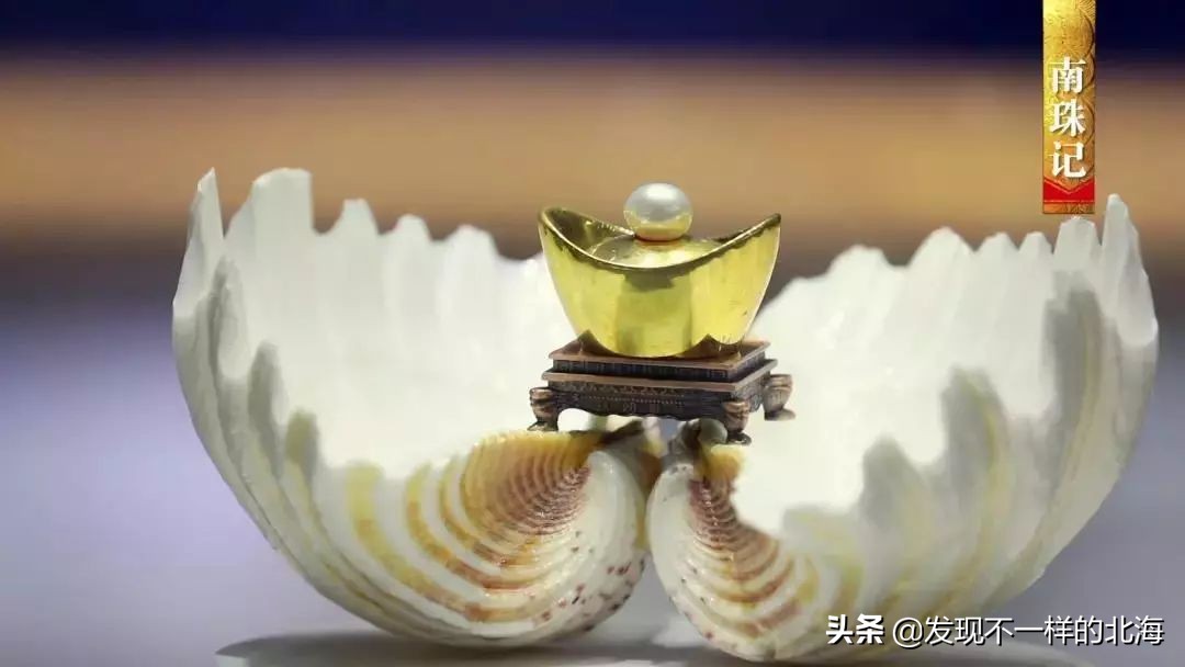 广西合浦是怎么样的？央视是这样全方位介绍这美丽的珠乡的