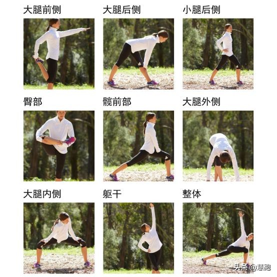 研究表明跑步的好处,最新研究跑步的好处