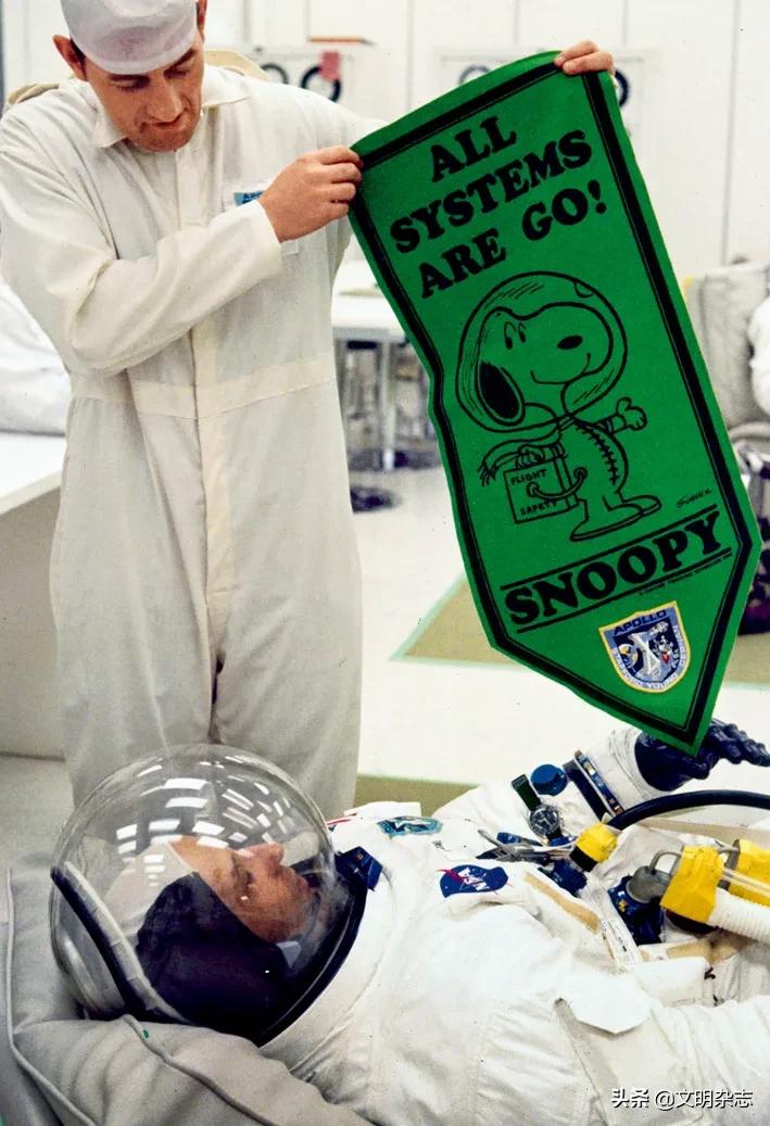 花生漫画,花生漫画讲了什么