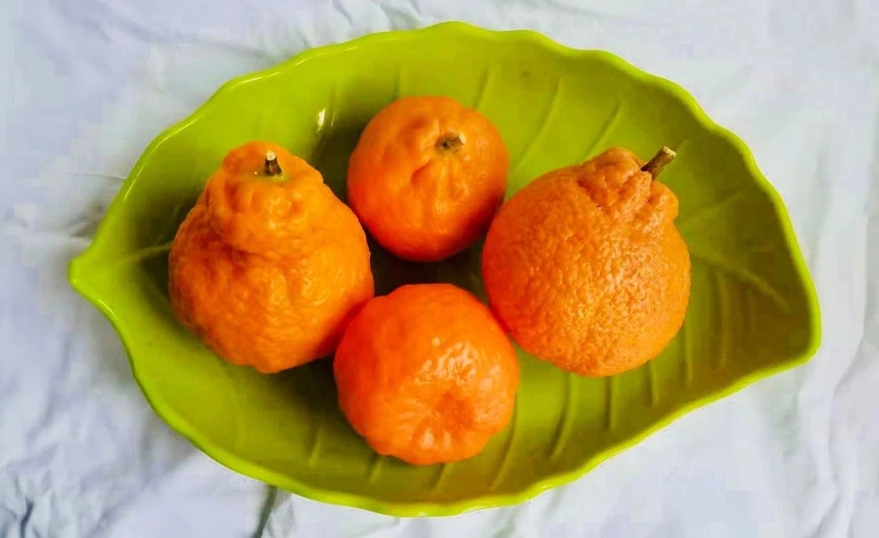 令人真假难辨的水蜜桃，这名85后青年的作品真是绝了