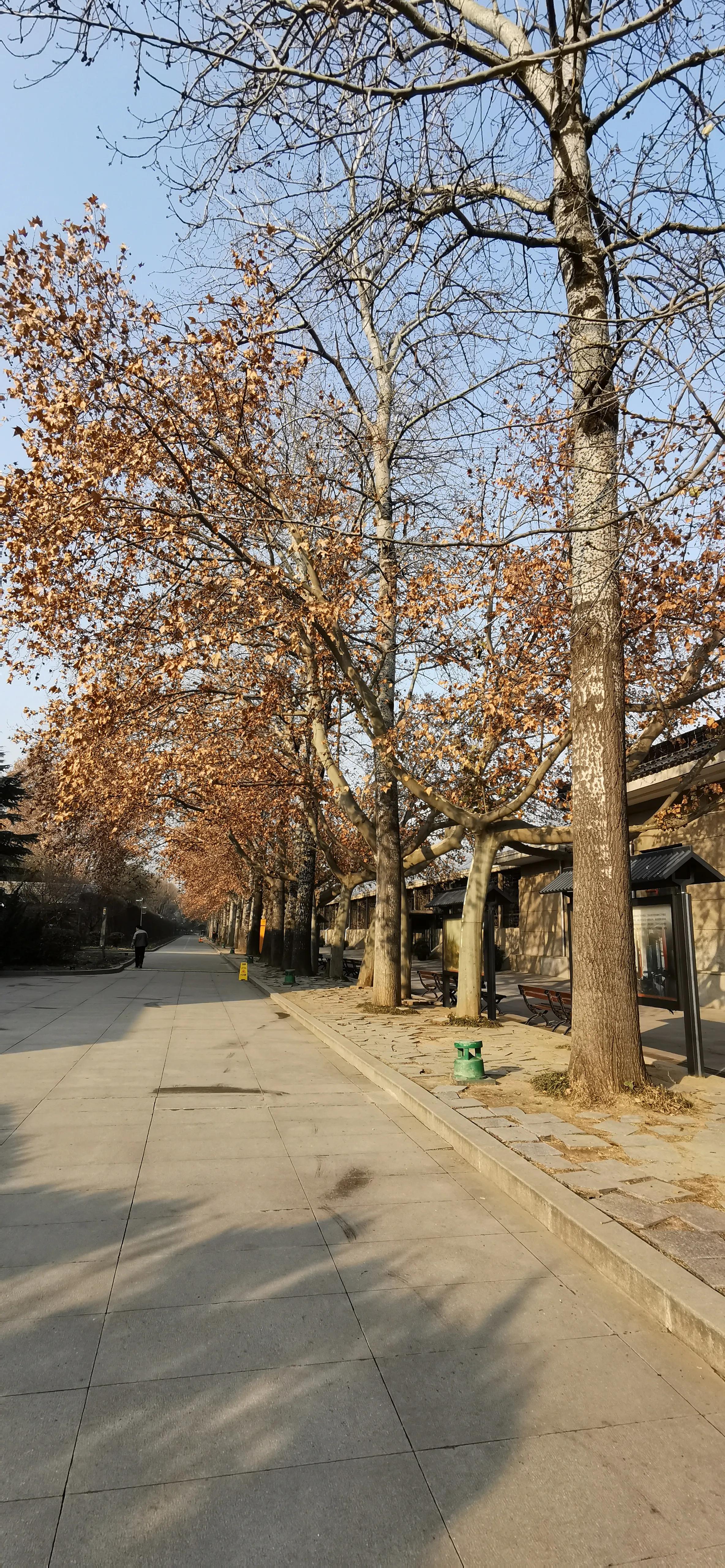 秦始皇陵兵马俑现场有讲解吗,秦始皇陵兵马俑的所在地