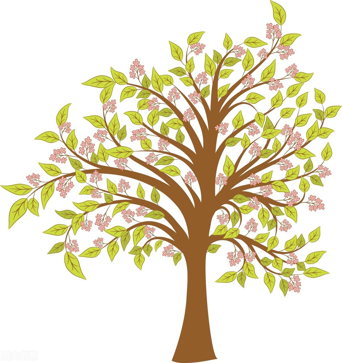 从护肤到美颜,美容里干细胞是什么技术